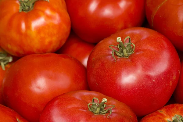 Ντομάτες ώριμες λαχανικά — Φωτογραφία Αρχείου
