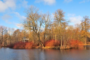 Late Autumn in St. Petersburg clipart