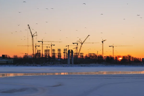 Petersburg'daki kış gündoğumu — Stok fotoğraf