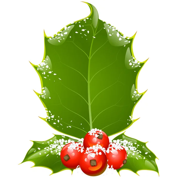 Noël et Nouvel An fond, Cadre vecteur houx — Image vectorielle
