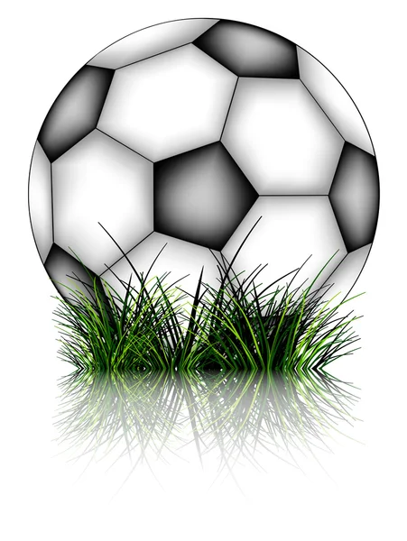 Bola de futebol e grama refletida — Vetor de Stock