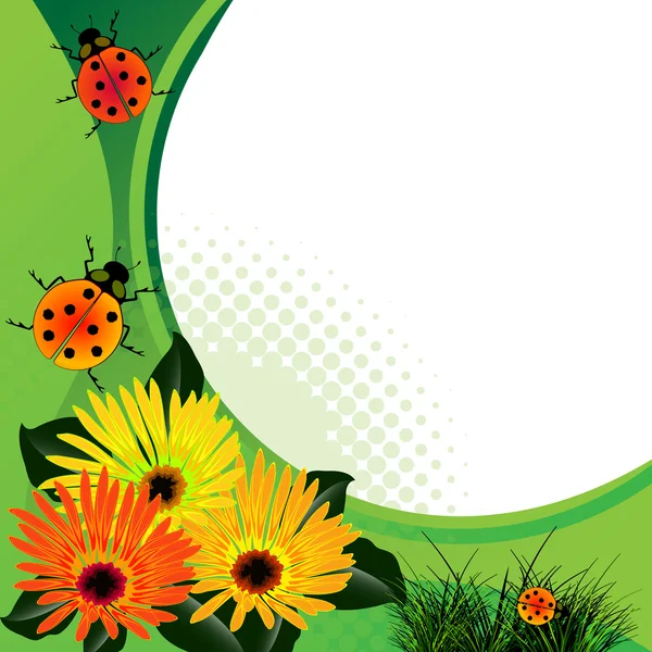 Ladybugs over abstract floral background — Stock Vector