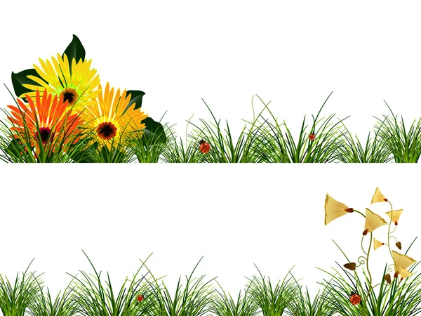 En-têtes avec fleurs, herbe et coccinelles — Image vectorielle