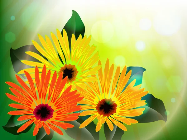 Λουλούδια και αφηρημένο φως — Διανυσματικό Αρχείο