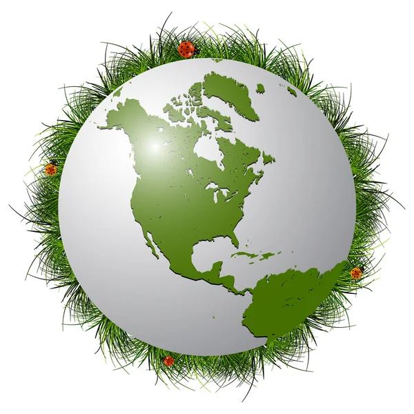 Globe terrestre, herbe et coccinelles — Image vectorielle