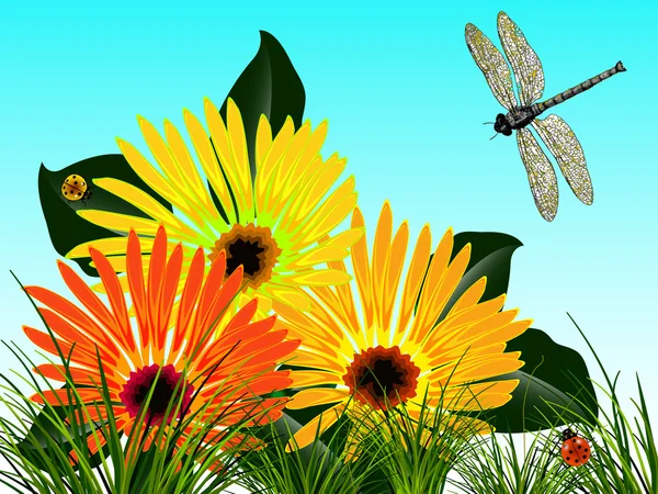 Käfer und Blumen Karte — Stockvektor