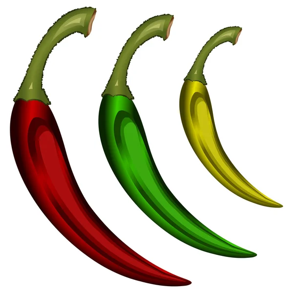 Papriky, samostatný — Stockový vektor