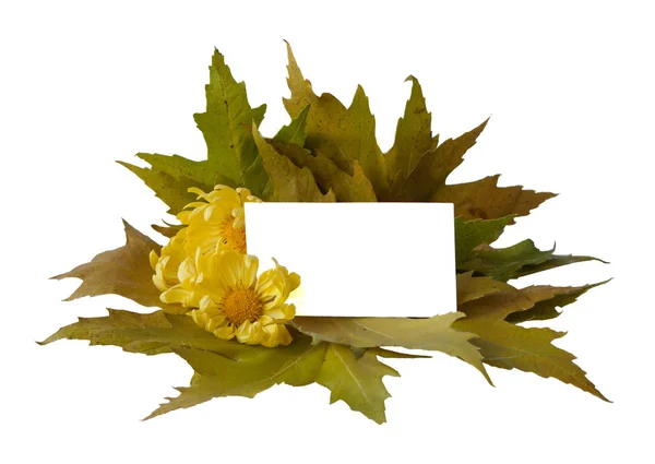 Autumn blank card isolated on white — Stock Photo, Image