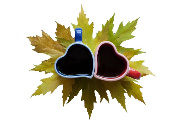 Χρωματισμένα φύλλα του φθινοπώρου και δύο Κύπελλα — Φωτογραφία Αρχείου