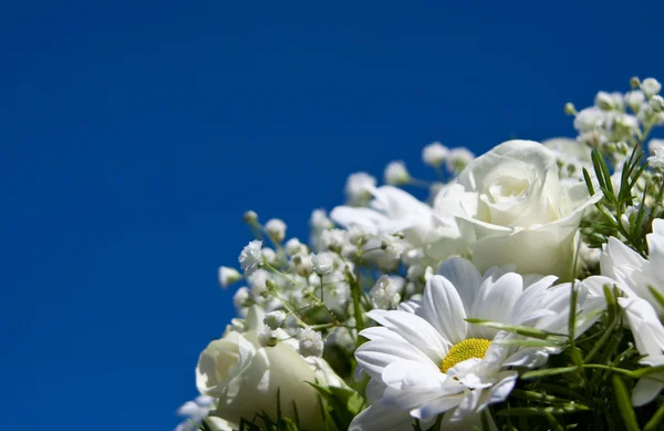 Boquet of white flowers on the sun sky background — Stock Photo, Image