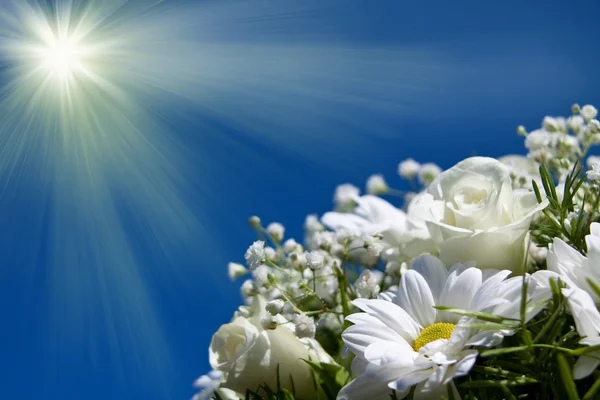 Boquet de flores blancas sobre el fondo del cielo del sol — Foto de Stock