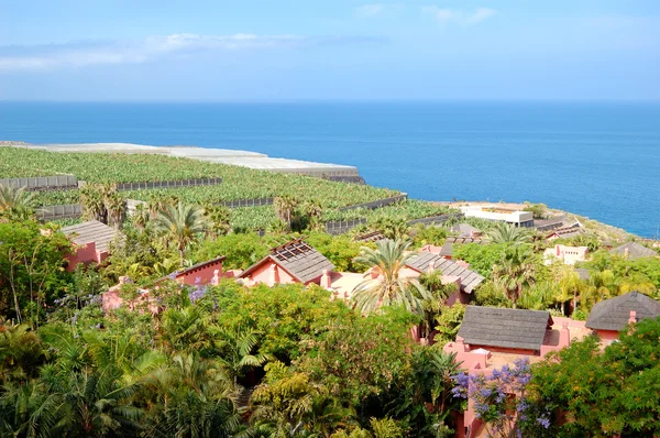 Recreation area with villas of luxury hotel and banana's plantat — Stock Photo, Image
