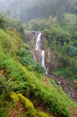 şelale ve yeşil manzara, nuwara eliya sri lanka