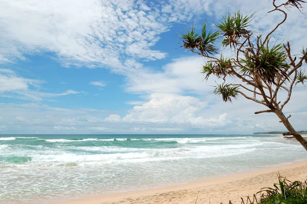 Stock image Beach and turquoise water of Indian Ocean, Bentota, Sri Lanka