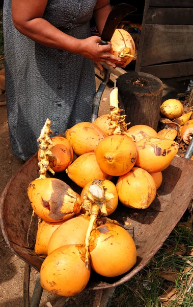 Kobiety sprzedaży owoców drzewa kokosowe, sri lanka — Zdjęcie stockowe