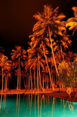 Night illumination of swimming pool and palms at luxury hotel, B clipart