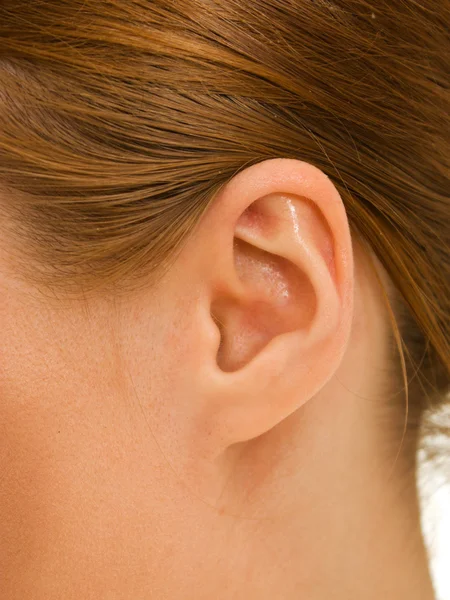 stock image Ear women as part of the body.