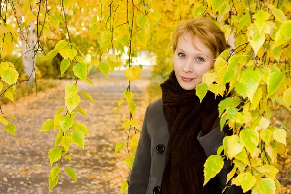 Een vrouw staat van berken in herfst park. — Stockfoto