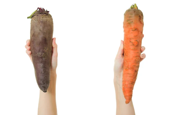 胡萝卜和甜菜手中的白色背景. — 图库照片