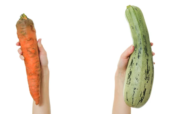 Zanahorias y calabacines en las manos de un fondo blanco . —  Fotos de Stock