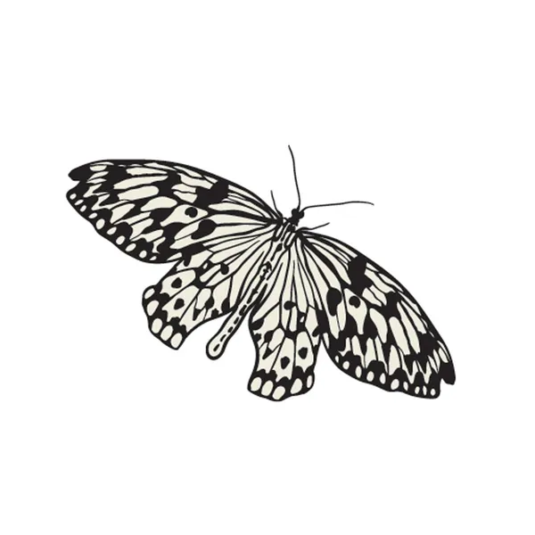 Schmetterling Hintergrund, vintage Insektenset, Sammlung von Schmetterlingen — Stockvektor