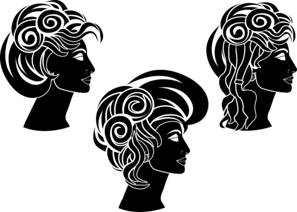 Набір зачіски — стоковий вектор