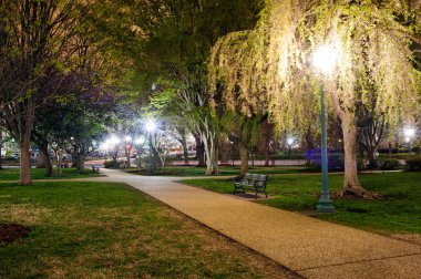 Güzel park Bölgesi'nde yaz geceleri