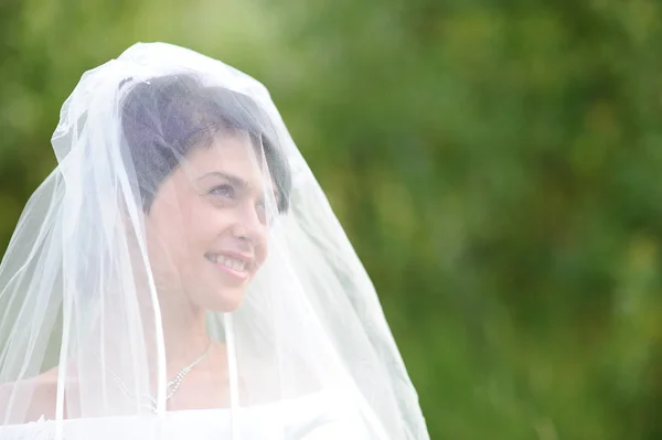 Brunette noiva — Fotografia de Stock