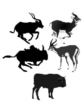 Collection of vector images of antelopes clipart