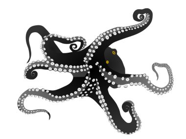 Vector octopus clipart