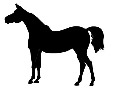 Vector illustration of a horse clipart