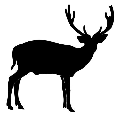 Vector illustration of deer clipart