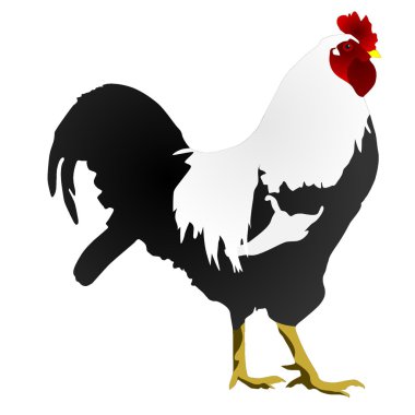 Vector image of a rooster clipart