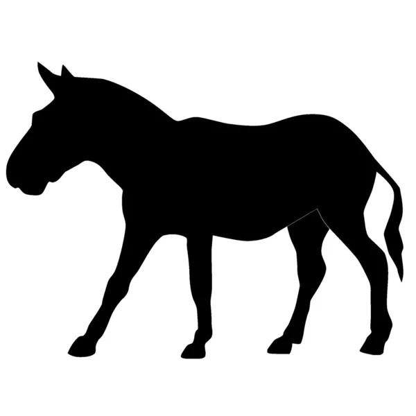 Ilustración vectorial de un burro — Archivo Imágenes Vectoriales