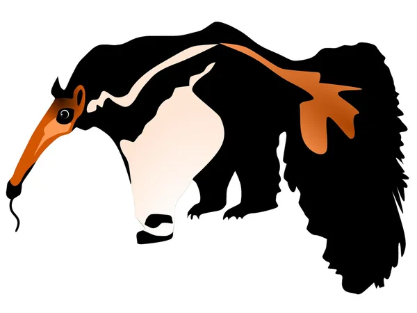 Ilustración vectorial del oso hormiguero — Vector de stock