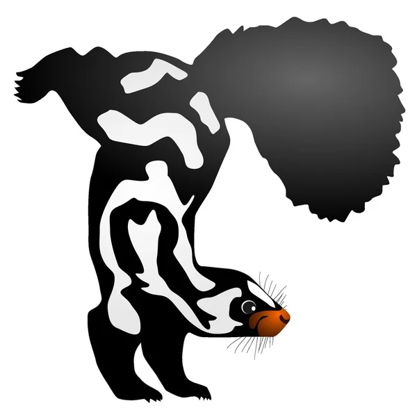 Ilustración vectorial de skunk — Archivo Imágenes Vectoriales