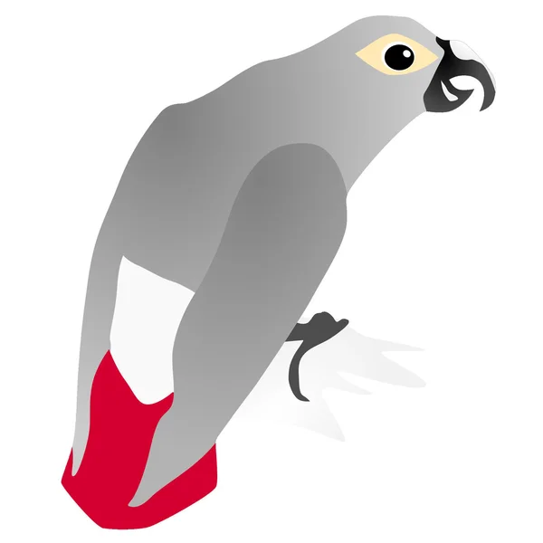 Wektory szary papuga jaco — Wektor stockowy