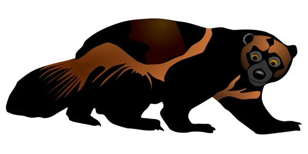 Ilustración vectorial de wolverine — Vector de stock
