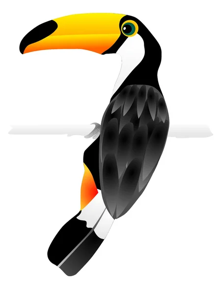 Vector afbeelding van toucan — Stockvector
