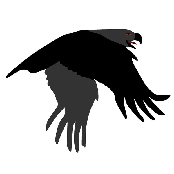 Imagem vetorial de uma águia —  Vetores de Stock