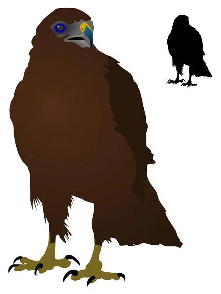 Вектори степовий орел — стоковий вектор