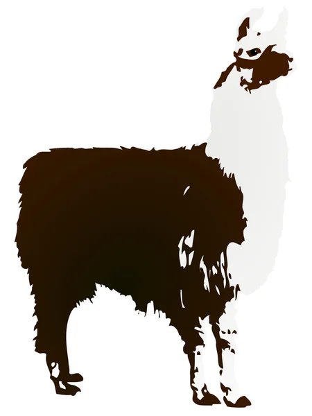 Векторное изображение Llama — стоковый вектор