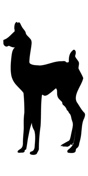Imagen vectorial de guanaco — Vector de stock
