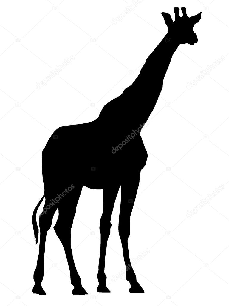Vector image of Giraffe