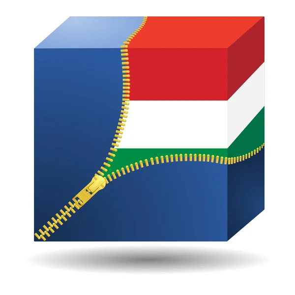 Cubo con la bandera de Hungría en un estuche — Archivo Imágenes Vectoriales