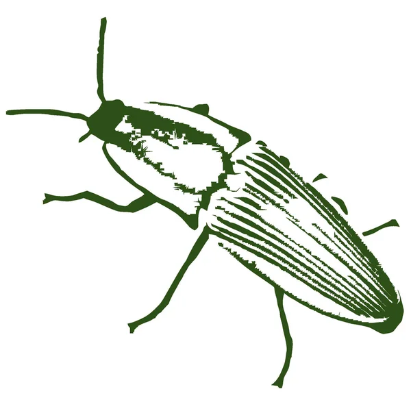 Imagen vectorial de un escarabajo — Vector de stock