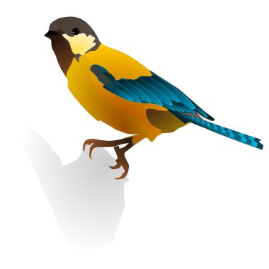 vector image of bird clipart