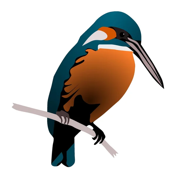 Vector afbeelding van een mooie vogel — Stockvector