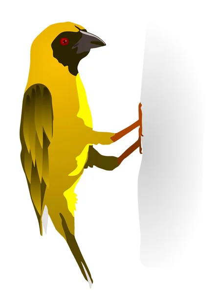 Vector illustration of a yellow bird — Stock Vector