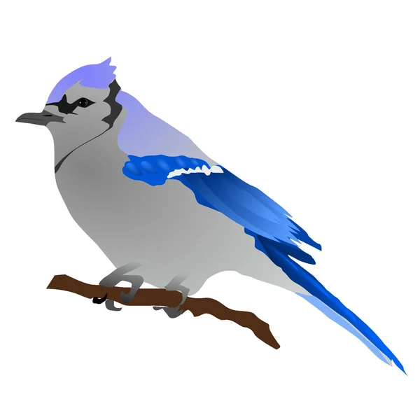 Ilustração vetorial de pássaros azuis —  Vetores de Stock